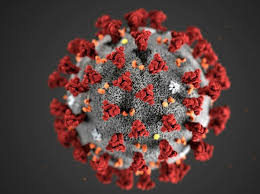Coronavirus- Bilan du 30 mars 2020