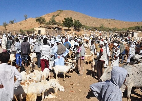 141 chrétiens arrêtés en Érythrée
