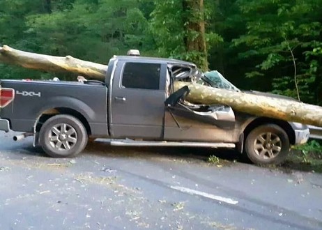 Le pasteur survit à un tronc d’arbre qui s'est abattu sur sa voiture et rend grâce à Dieu