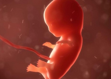 Abomination - La police trouve plus de 2 200 restes de bébés avortés chez un médecin