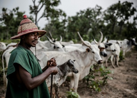 Un musulman peul sauve des missionnaires chrétiens nigérians des mains de ravisseurs Un musulman peul sauve des missionnaires chrétiens nigérians des mains de ravisseurs