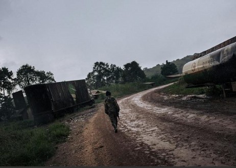 Des combattants présumés des ADF abattent deux personnes et décapitent huit autres en RDC