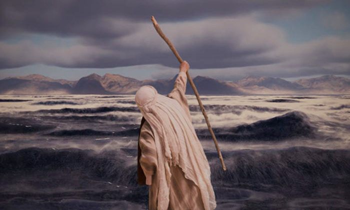 Film Le Miracle De La Mer Des Sargasses Un nouveau film va montrer la preuve du miracle de la traversée de la